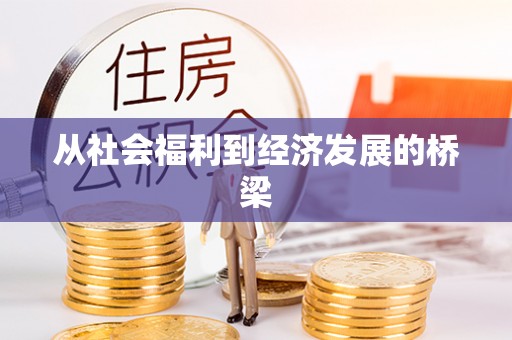 大荔从社会福利到经济发展的桥梁