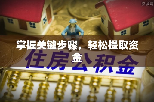 大荔掌握关键步骤，轻松提取资金
