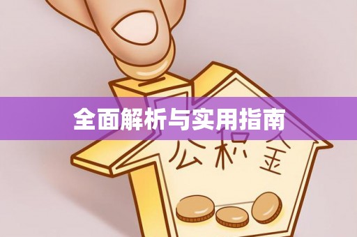 大荔全面解析与实用指南