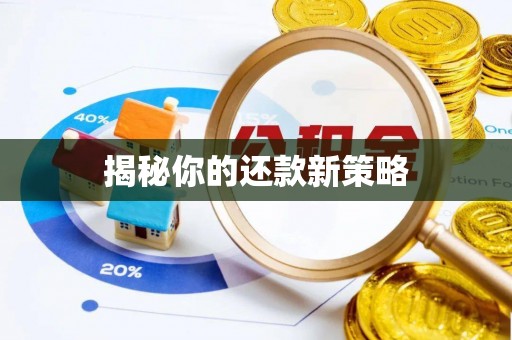 大荔揭秘你的还款新策略