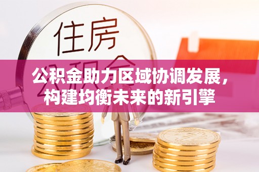大荔公积金助力区域协调发展，构建均衡未来的新引擎
