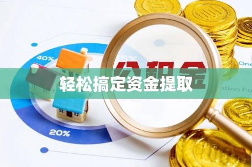 大荔轻松搞定资金提取