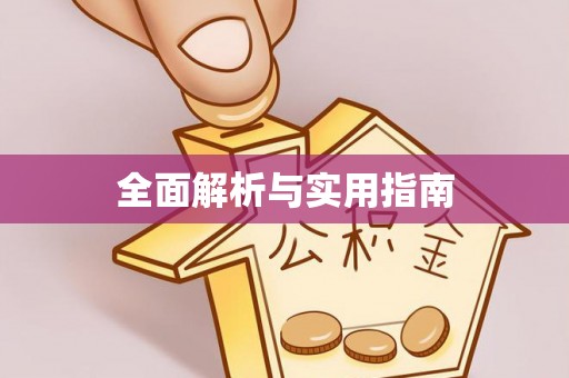 大荔全面解析与实用指南