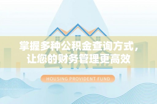 大荔掌握多种公积金查询方式，让您的财务管理更高效