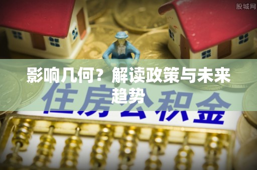 大荔影响几何？解读政策与未来趋势