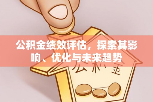大荔公积金绩效评估，探索其影响、优化与未来趋势