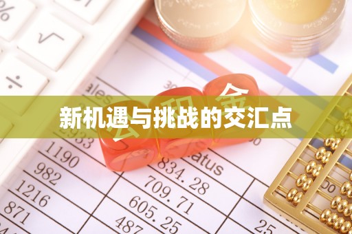 大荔新机遇与挑战的交汇点