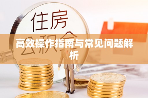 大荔高效操作指南与常见问题解析