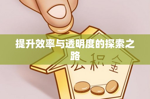 大荔提升效率与透明度的探索之路