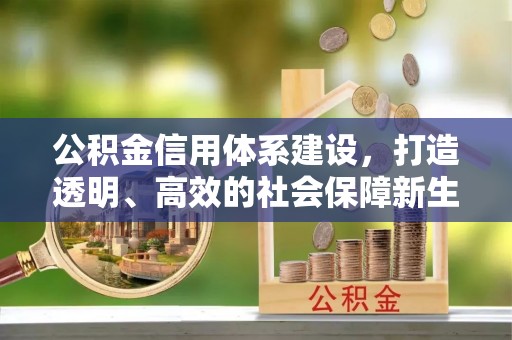 大荔公积金信用体系建设，打造透明、高效的社会保障新生态