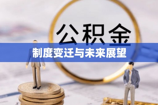 大荔制度变迁与未来展望