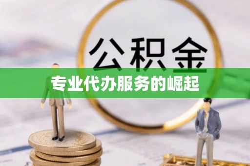 大荔专业代办服务的崛起