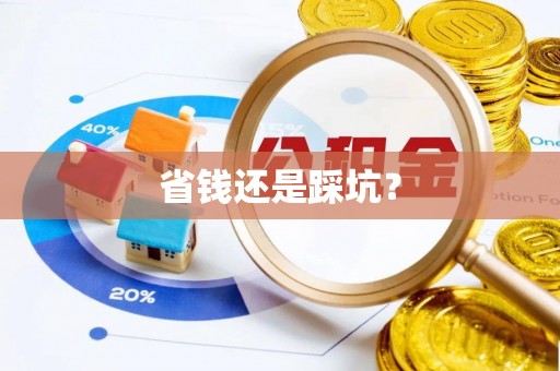 大荔省钱还是踩坑？