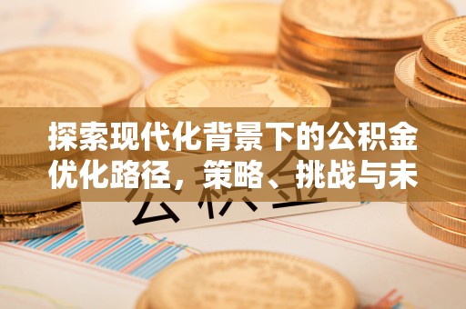 大荔探索现代化背景下的公积金优化路径，策略、挑战与未来展望