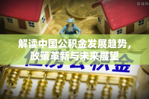 大荔解读中国公积金发展趋势，政策革新与未来展望