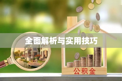 大荔全面解析与实用技巧