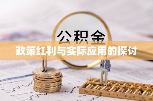 大荔政策红利与实际应用的探讨
