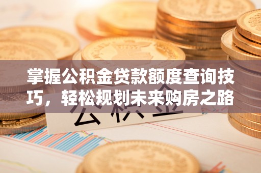 大荔掌握公积金贷款额度查询技巧，轻松规划未来购房之路