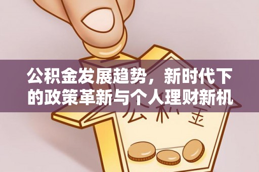 大荔公积金发展趋势，新时代下的政策革新与个人理财新机遇