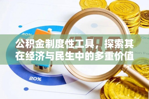 大荔公积金制度性工具，探索其在经济与民生中的多重价值