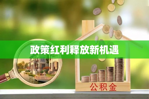 大荔政策红利释放新机遇