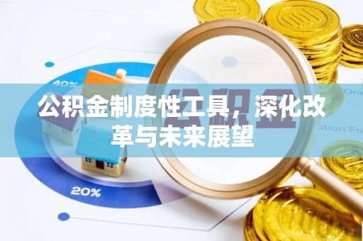 大荔公积金制度性工具，深化改革与未来展望