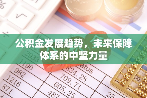 大荔公积金发展趋势，未来保障体系的中坚力量