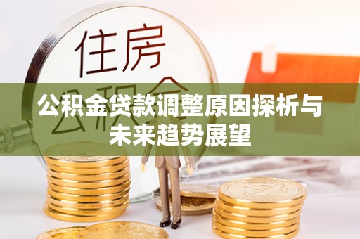 大荔公积金贷款调整原因探析与未来趋势展望