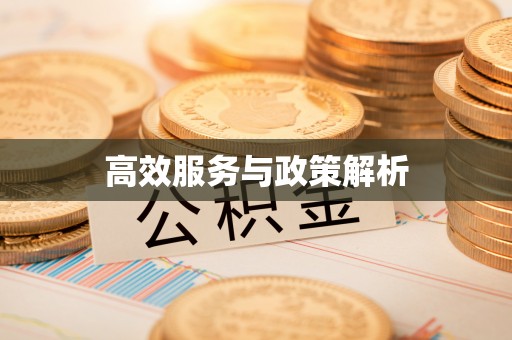 大荔高效服务与政策解析