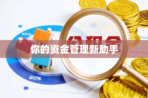 大荔你的资金管理新助手