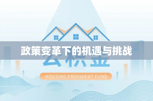 大荔政策变革下的机遇与挑战