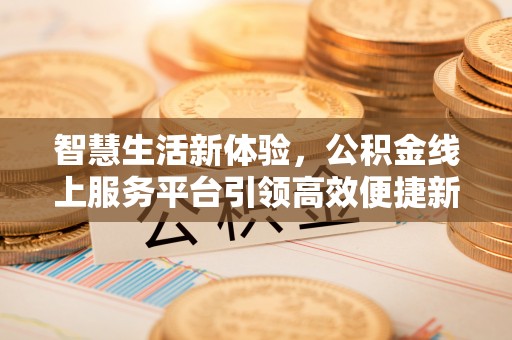 大荔智慧生活新体验，公积金线上服务平台引领高效便捷新时代