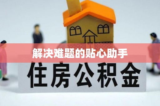 大荔解决难题的贴心助手