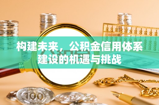 大荔构建未来，公积金信用体系建设的机遇与挑战