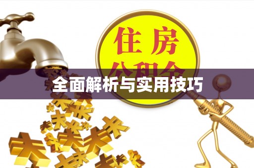 大荔全面解析与实用技巧