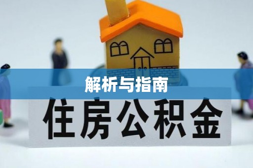 大荔解析与指南