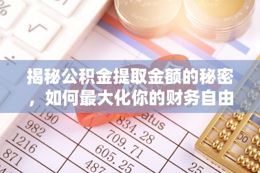 大荔揭秘公积金提取金额的秘密，如何最大化你的财务自由