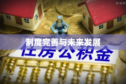 大荔制度完善与未来发展