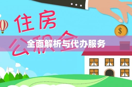 大荔全面解析与代办服务
