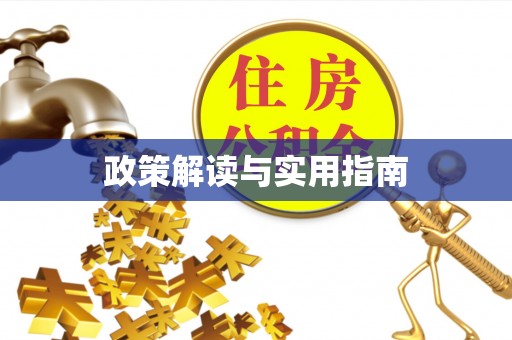 大荔政策解读与实用指南