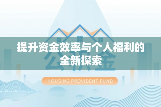大荔提升资金效率与个人福利的全新探索