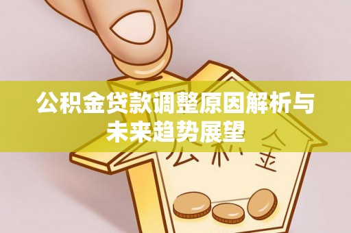 大荔公积金贷款调整原因解析与未来趋势展望
