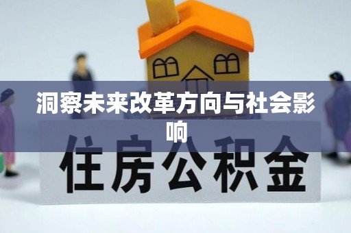 大荔洞察未来改革方向与社会影响