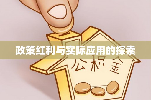 大荔政策红利与实际应用的探索