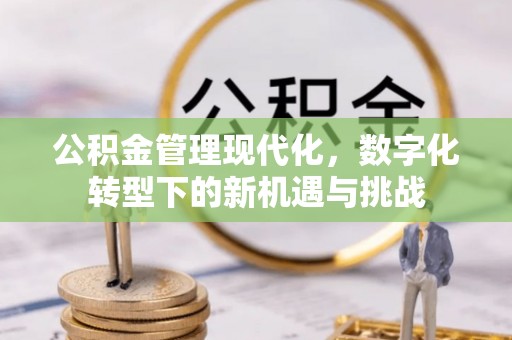 大荔公积金管理现代化，数字化转型下的新机遇与挑战