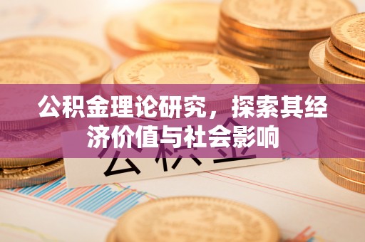 大荔公积金理论研究，探索其经济价值与社会影响