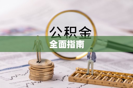 大荔全面指南