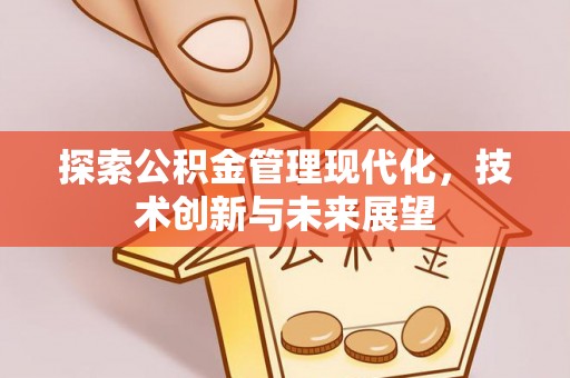 大荔探索公积金管理现代化，技术创新与未来展望