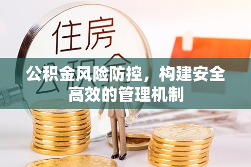 大荔公积金风险防控，构建安全高效的管理机制