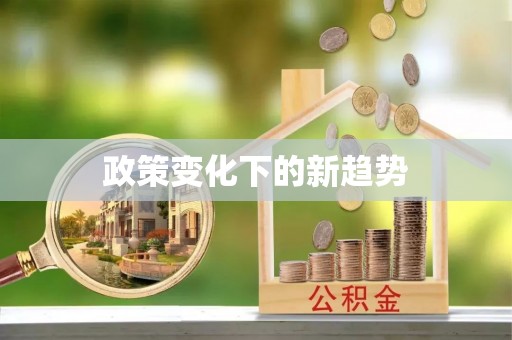 大荔政策变化下的新趋势